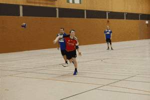 HSGLiGra GIF