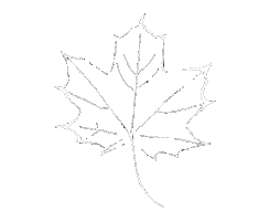 Platanos Cafe Sticker