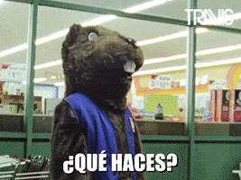 Que Pasa Spanish GIF by Travis