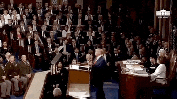 State Of The Union 2020 GIF by GIPHY News