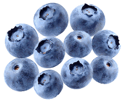 Fruit Yoghurt Sticker by Roxanne