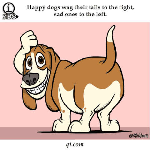 Cartoon gif. A hound dog wags its tail as it passes a paw down its face and makes a frown and up its face to make a smile. Text, "Happy dogs wag their tails to the right, and sad one to the left."