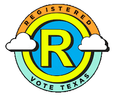 Voter Voting Sticker by MOVE Texas