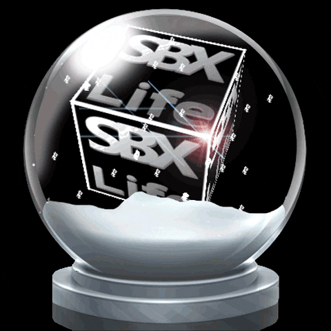 SBXLife GIF
