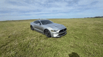 Mustang Moka GIF