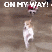 Istg Jinki Is Way More My Type Gifs Get The Best Gif On Giphy