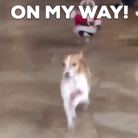 On My Way Christmas GIF by MOODMAN