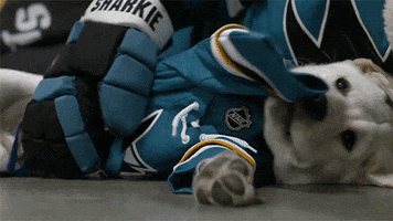 Ice Hockey Dog GIF by NHL