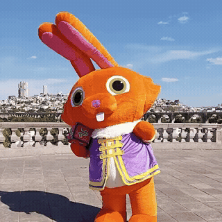 GIF by Seashell Studio