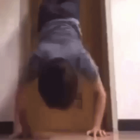 Slokied GIF