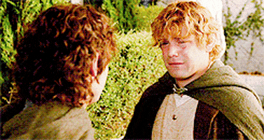 All The Crying The Lord Of The Rings animated GIF