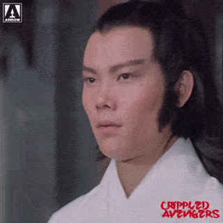 Martial Arts What GIF by Arrow Video