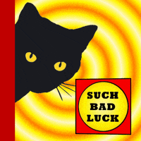Black Cat Bad Omen GIF
