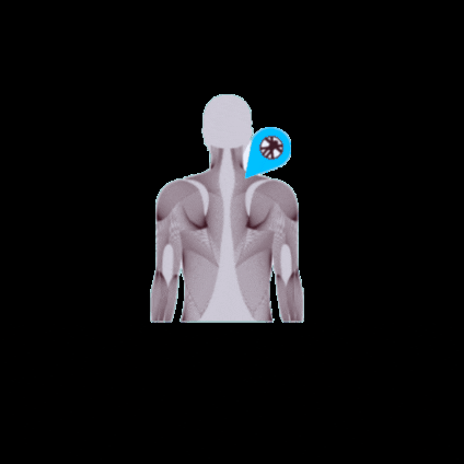 LKMOBILESPORTSMASSAGE GIF