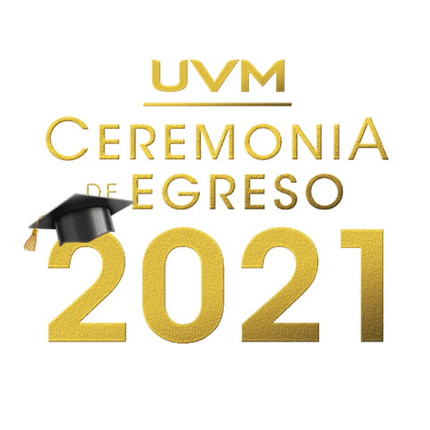 Universidad del Valle de México Sticker