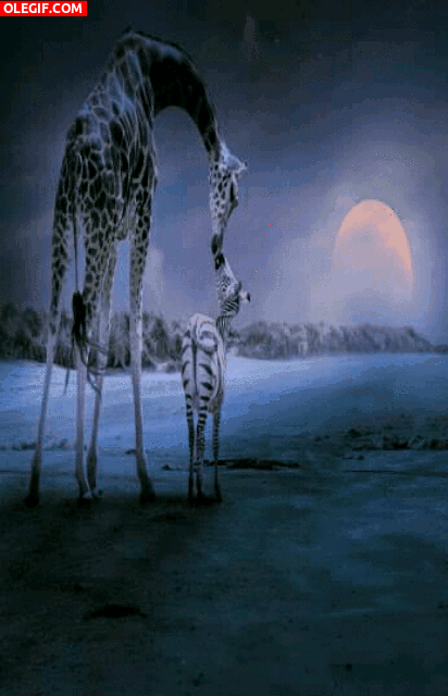 https://media0.giphy.com/media/hDBfJAH38nDWM/source.gif