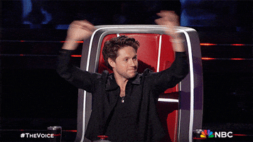 Hands Up Applause GIF by The Voice