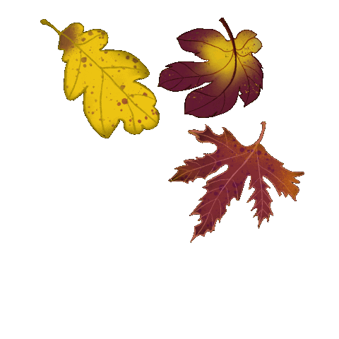 Autumn Leaves Falling Animated Gif