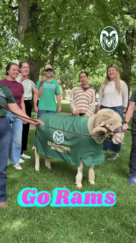 Colorado State University Rams GIF by Tailgating Challenge