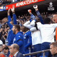 Fa Cup Celebration GIF by Emirates FA Cup