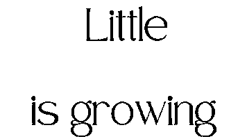 Artist Mallorca Sticker by Flyhighmallorca