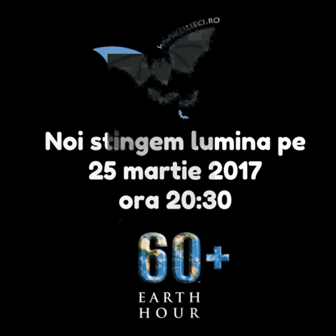 anastamatescu lileci GIF