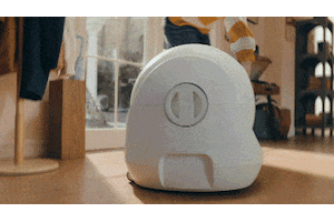 Animated GIF