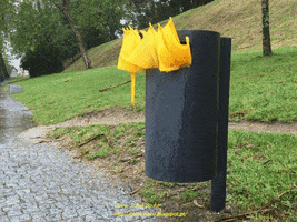abelchior  GIF