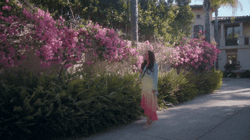 Over The Rainbow Singing GIF by Melinda Lindner