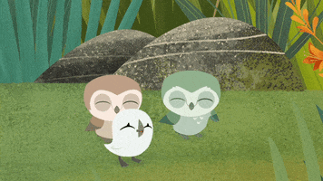 #puffin #rock #puffinrock #baba #pip #pop #excited #happybirds GIF by Puffin Rock