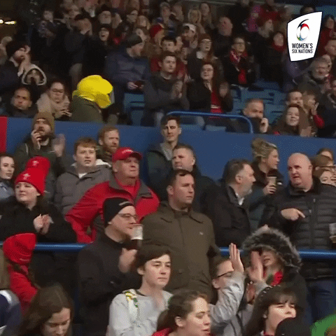 Go On Cheer GIF by Women's Six Nations