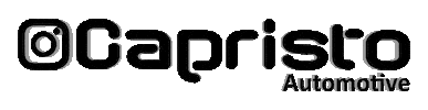 Logo Sticker by Capristo Automotive