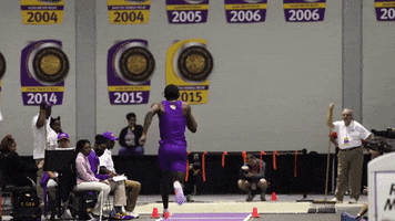 Long Jump Gold GIF by LSU Tigers