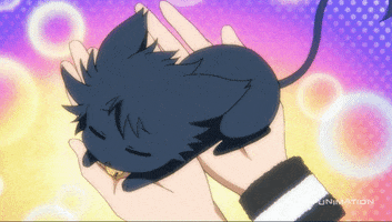 cat GIF by Funimation