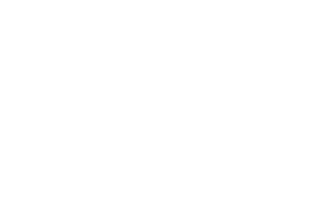 Dame Van Company Sticker