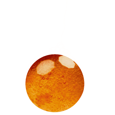 Honey Sticker by Breitsamer Honig