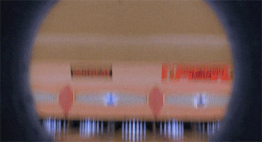 Lebowski GIF