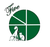 Five Points Pet Resort GIF