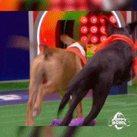 Touchdown GIF by Puppy Bowl