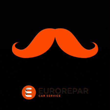 EuroreparCarServiceFrance GIF