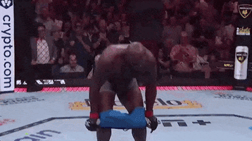 Suck It Mixed Martial Arts GIF by UFC