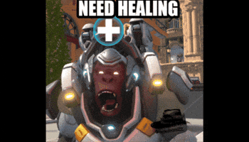 Angry Bear GIF