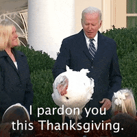 joe biden politics gif by the democrats find share on giphy