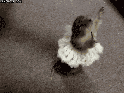 fun dancing GIF by Cheezburger