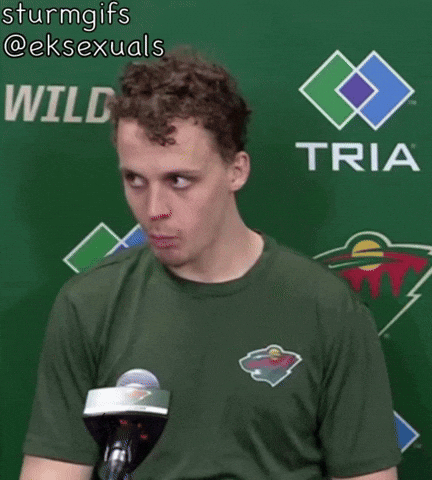 Minnesota Wild Hockey GIF