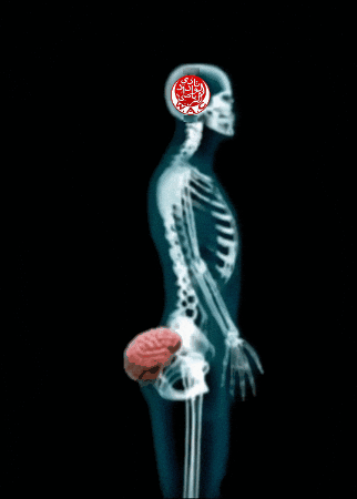 Raja Wac GIF