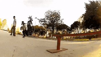 tafa #glovs #skateboarding GIF