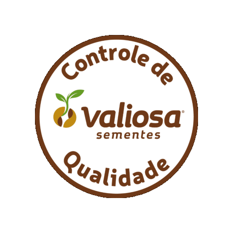 Soja Qualidade Sticker by Valiosa Sementes