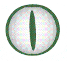 Krokodili GIF