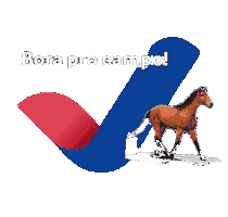 Horse Veterinaria Sticker by Veelabvet